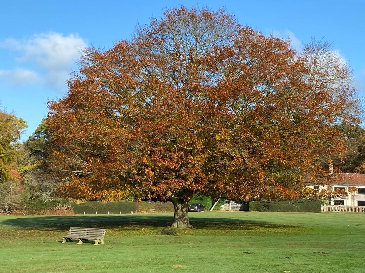 Avondale New Forest Godshill  외부 사진